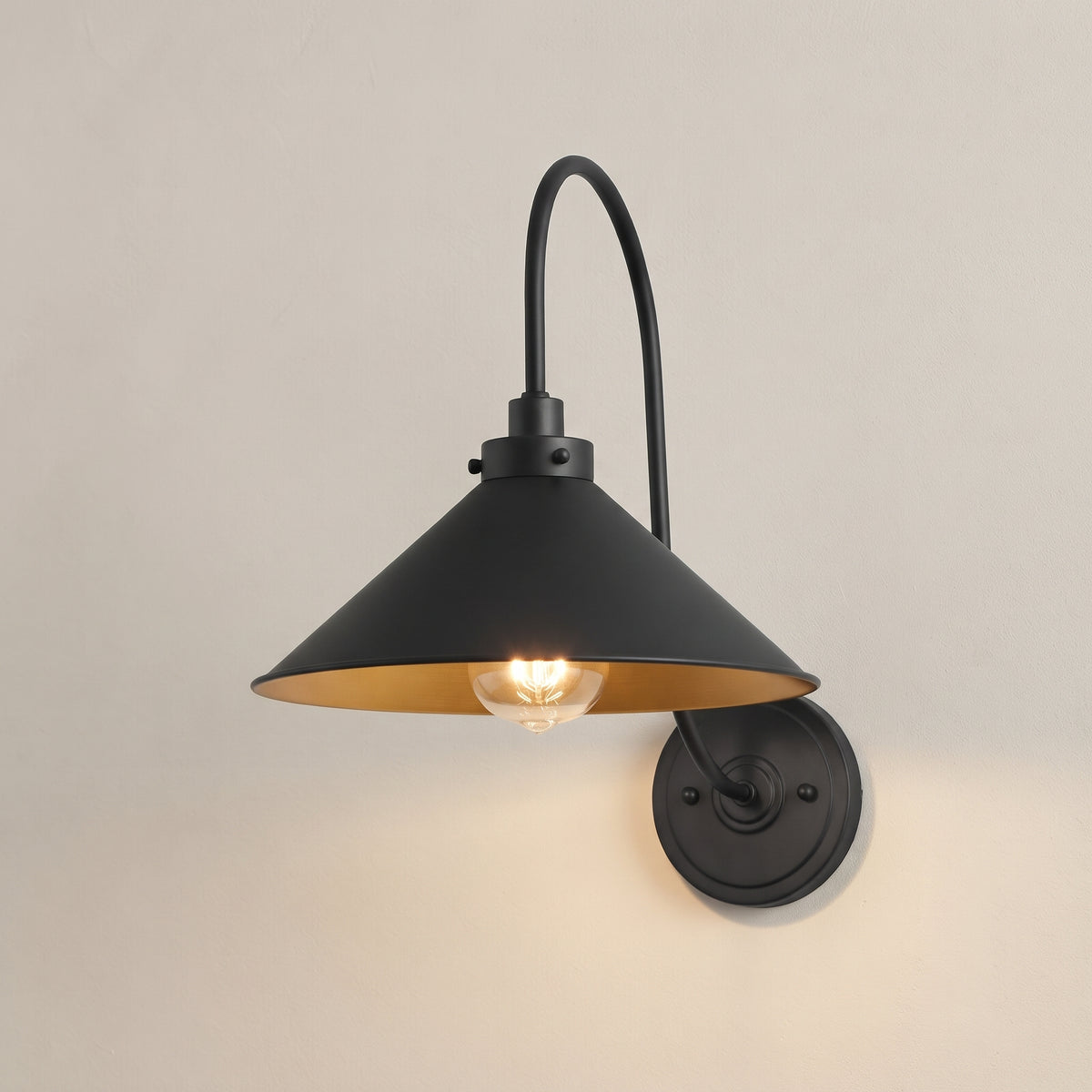 Brandt Gooseneck Wall Lamp