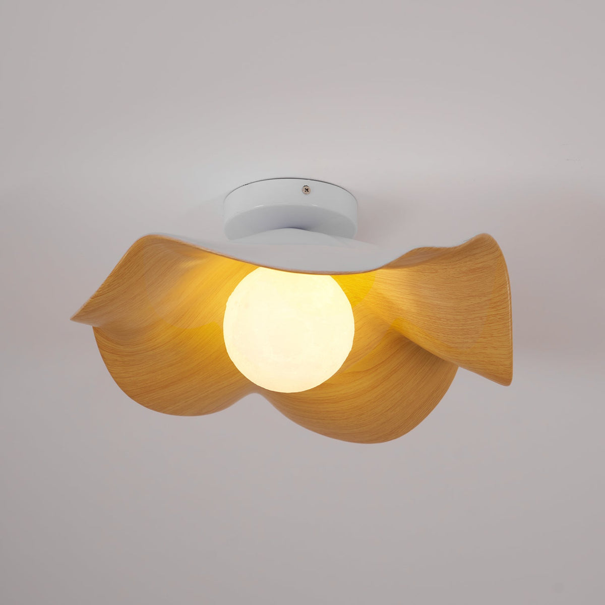 Casia Ceiling Light