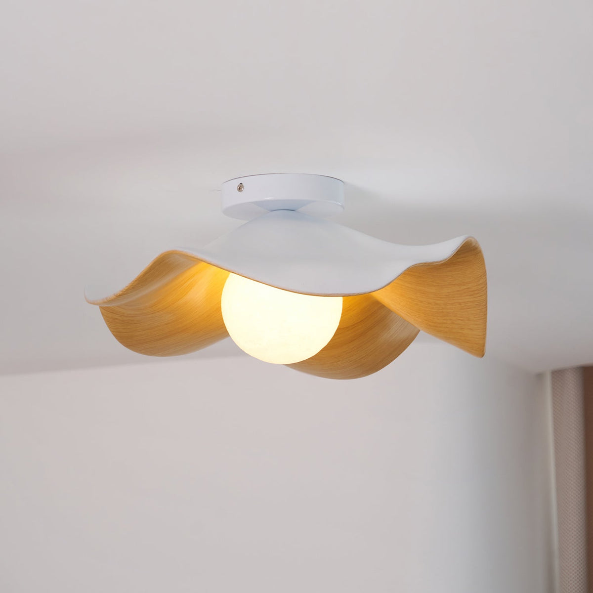 Casia Ceiling Light