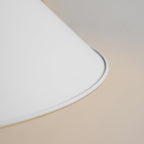 Brandt Gooseneck Wall Lamp - view 34