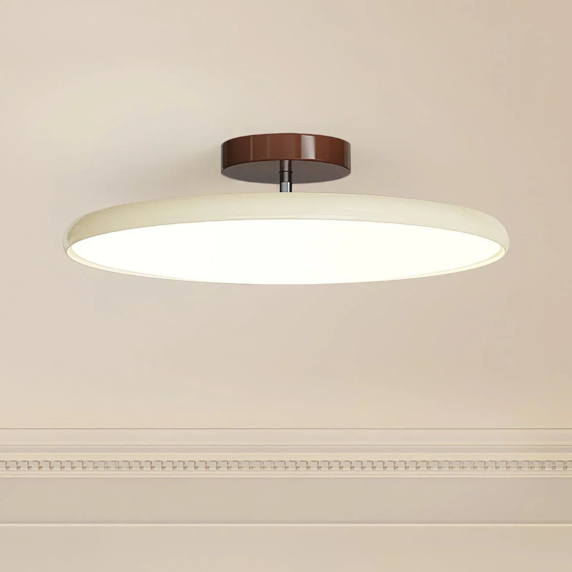 Drift Adjustable Ceiling Light - view 03