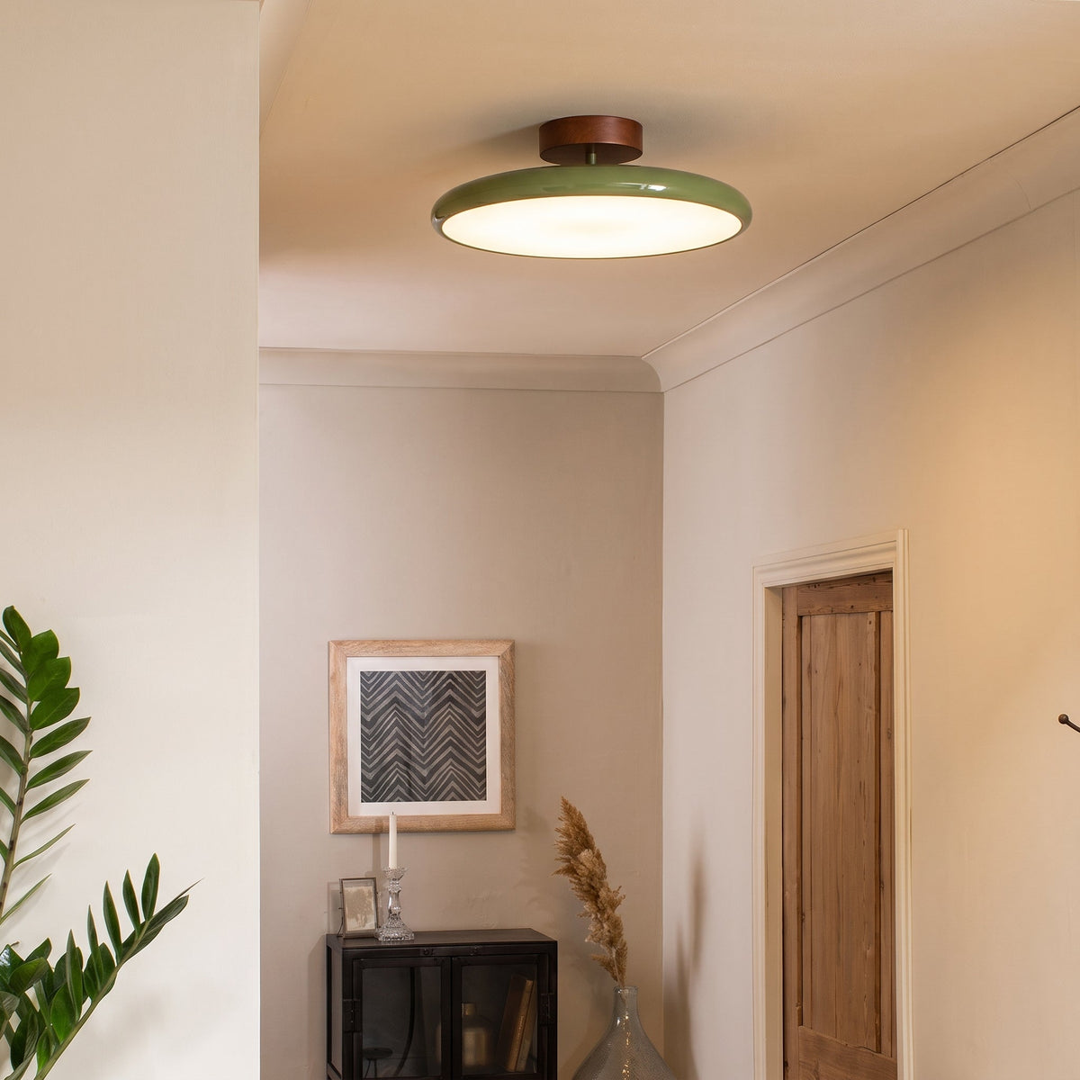 Drift Adjustable Ceiling Light - view 05