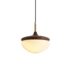 Humboldt Vintage Pendant Light - view 03