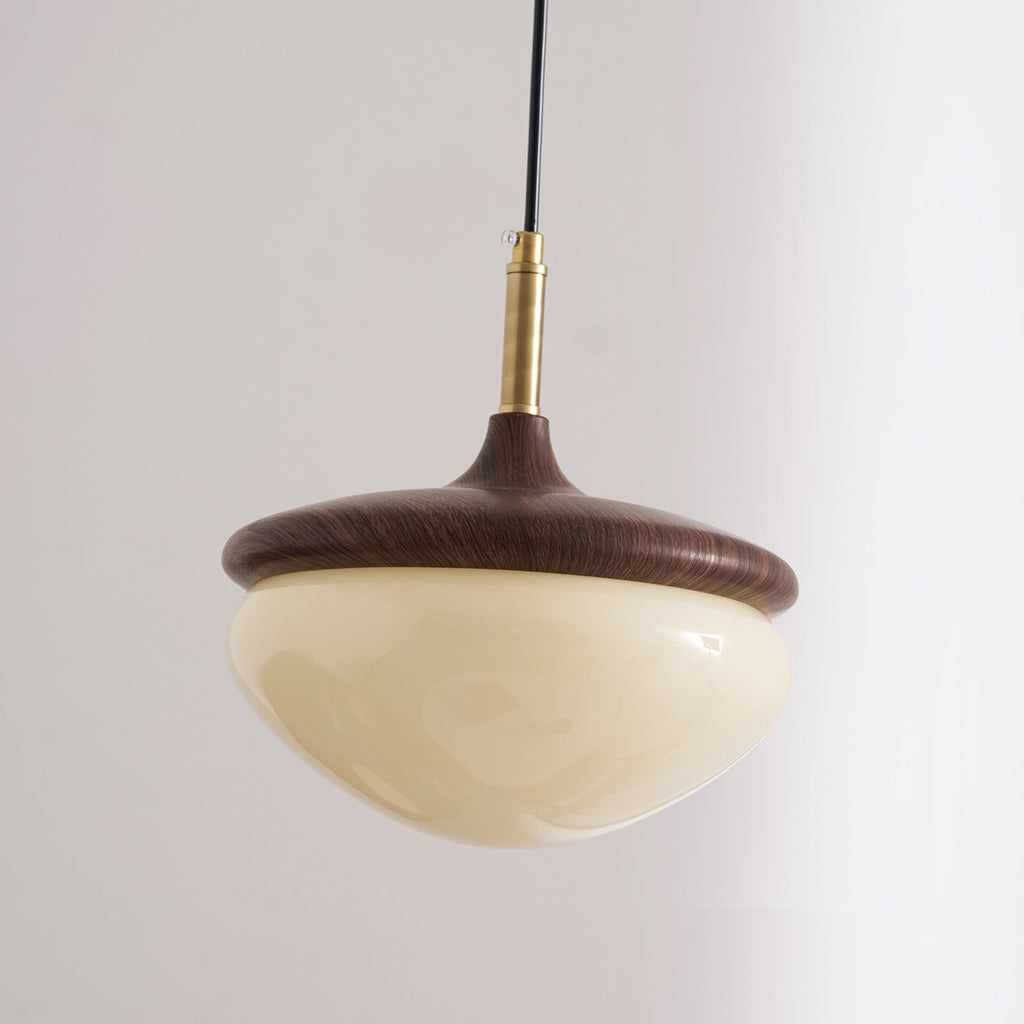 Humboldt Vintage Pendant Light - view 18