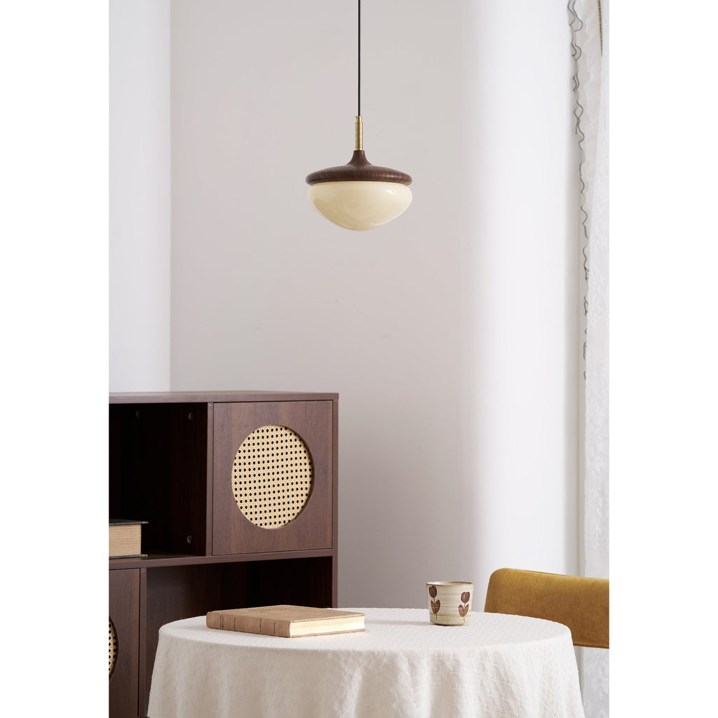 Humboldt Vintage Pendant Light - view 20