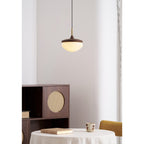 Humboldt Vintage Pendant Light - view 21