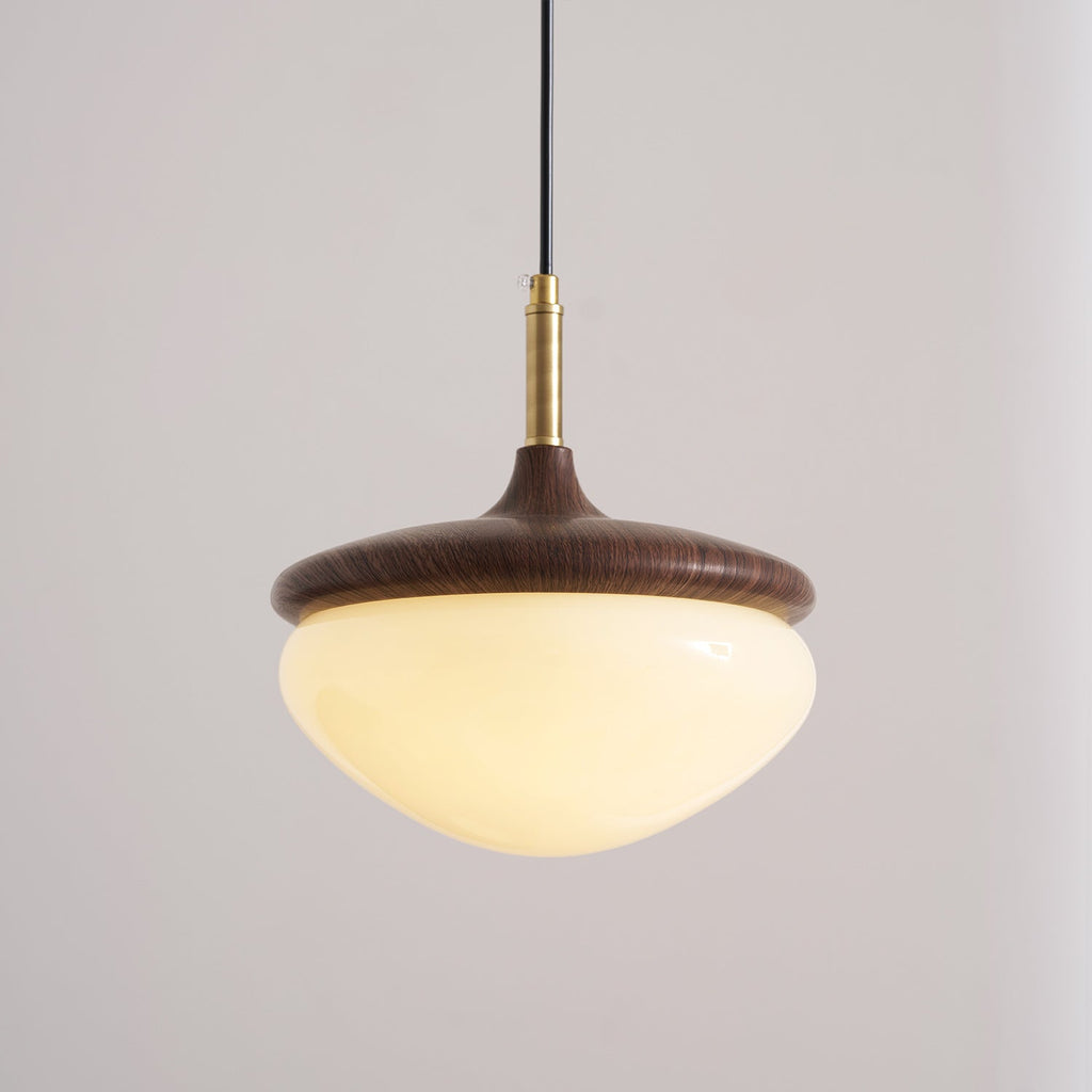 Humboldt Vintage Pendant Light - view 22