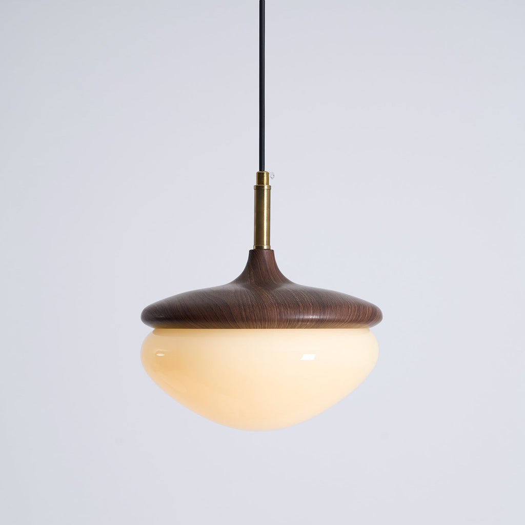 Humboldt Vintage Pendant Light - view 23