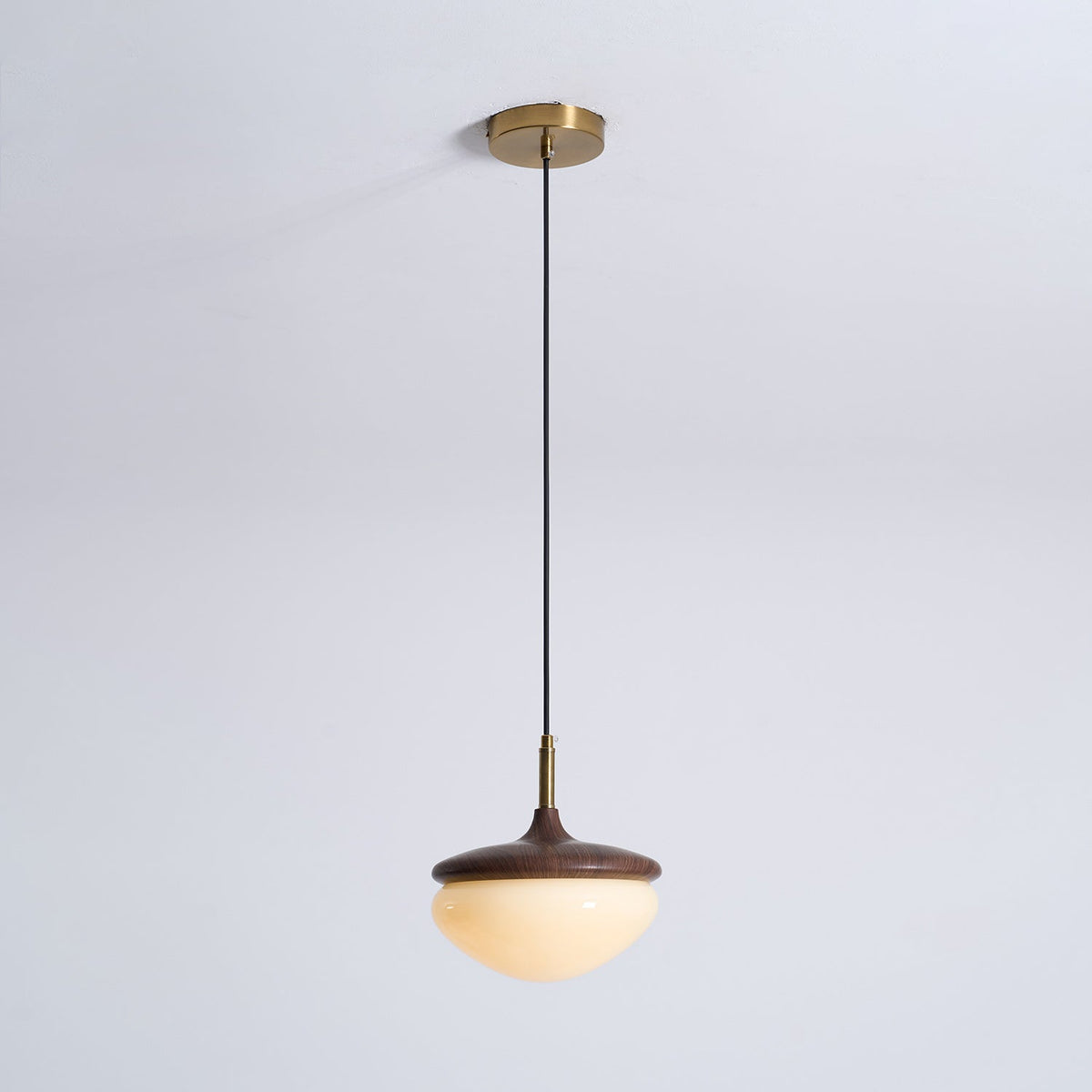 Humboldt Vintage Pendant Light - view 26