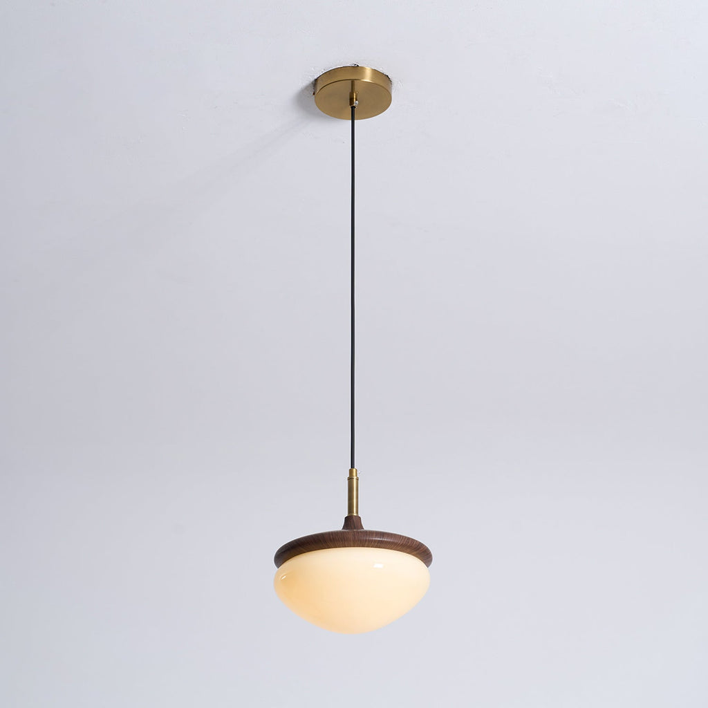 Humboldt Vintage Pendant Light - view 28