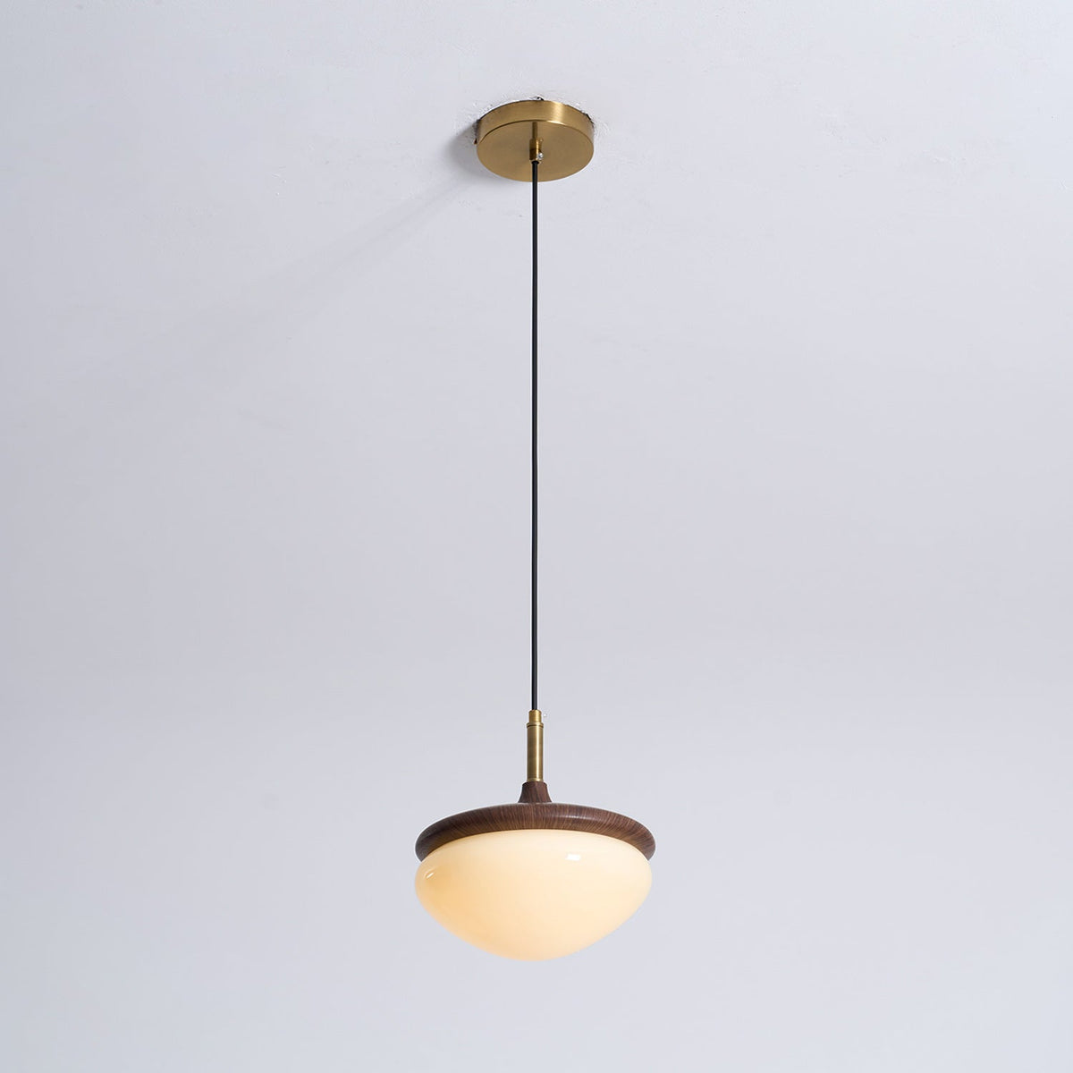 Humboldt Vintage Pendant Light - view 28