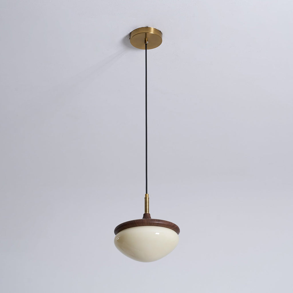 Humboldt Vintage Pendant Light - view 29