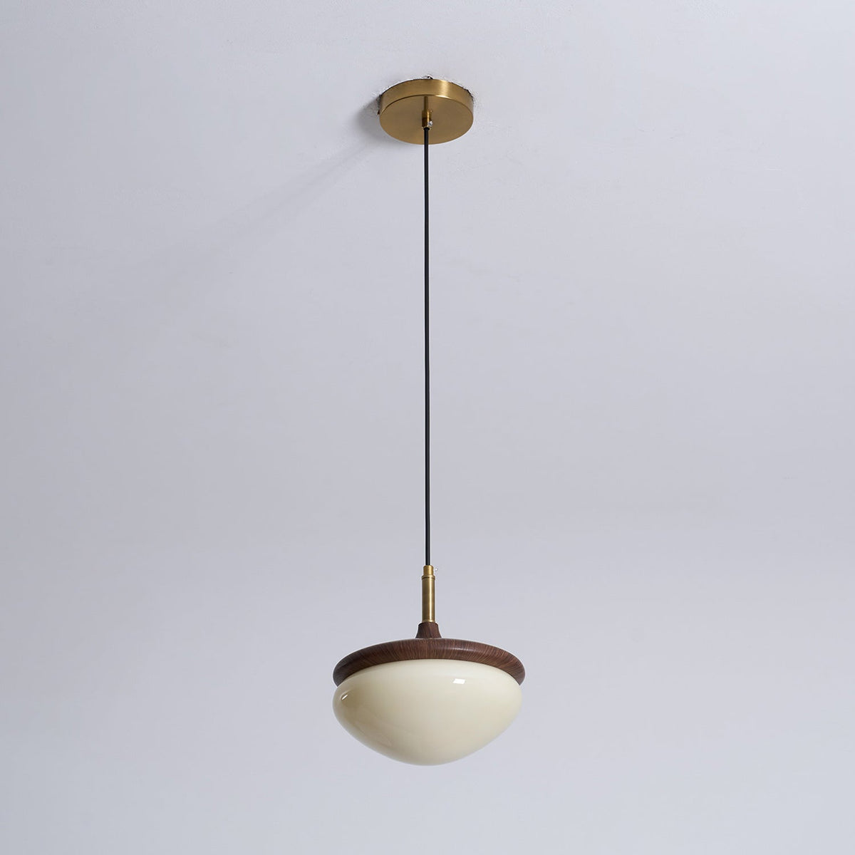 Humboldt Vintage Pendant Light - view 29
