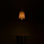Linet Linen Shade Pendant Light - view 23