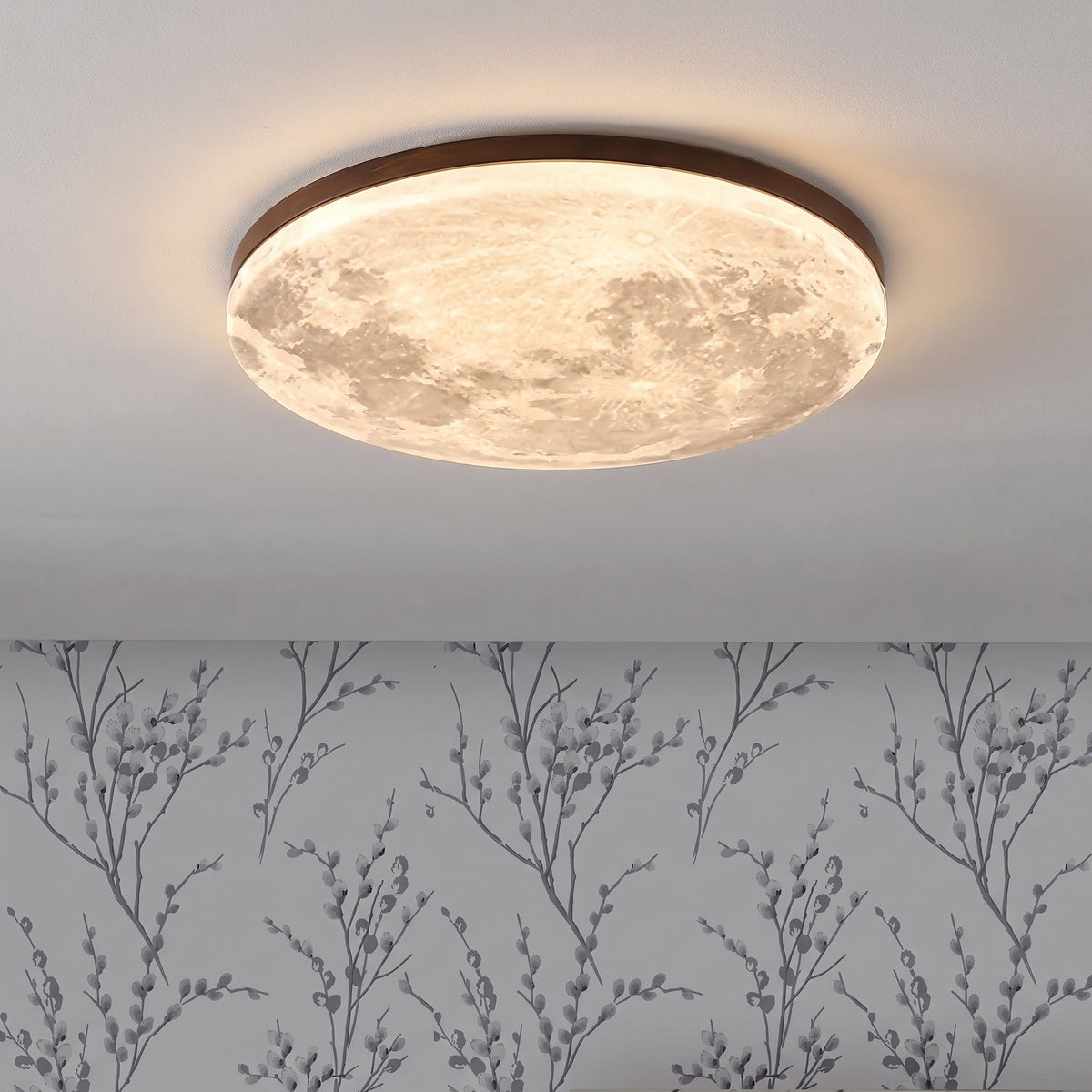 Moon Ceiling Light - view 04