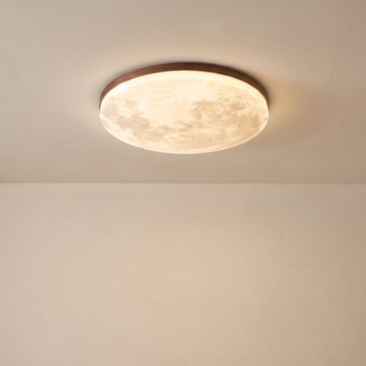 Moon Ceiling Light - view 10