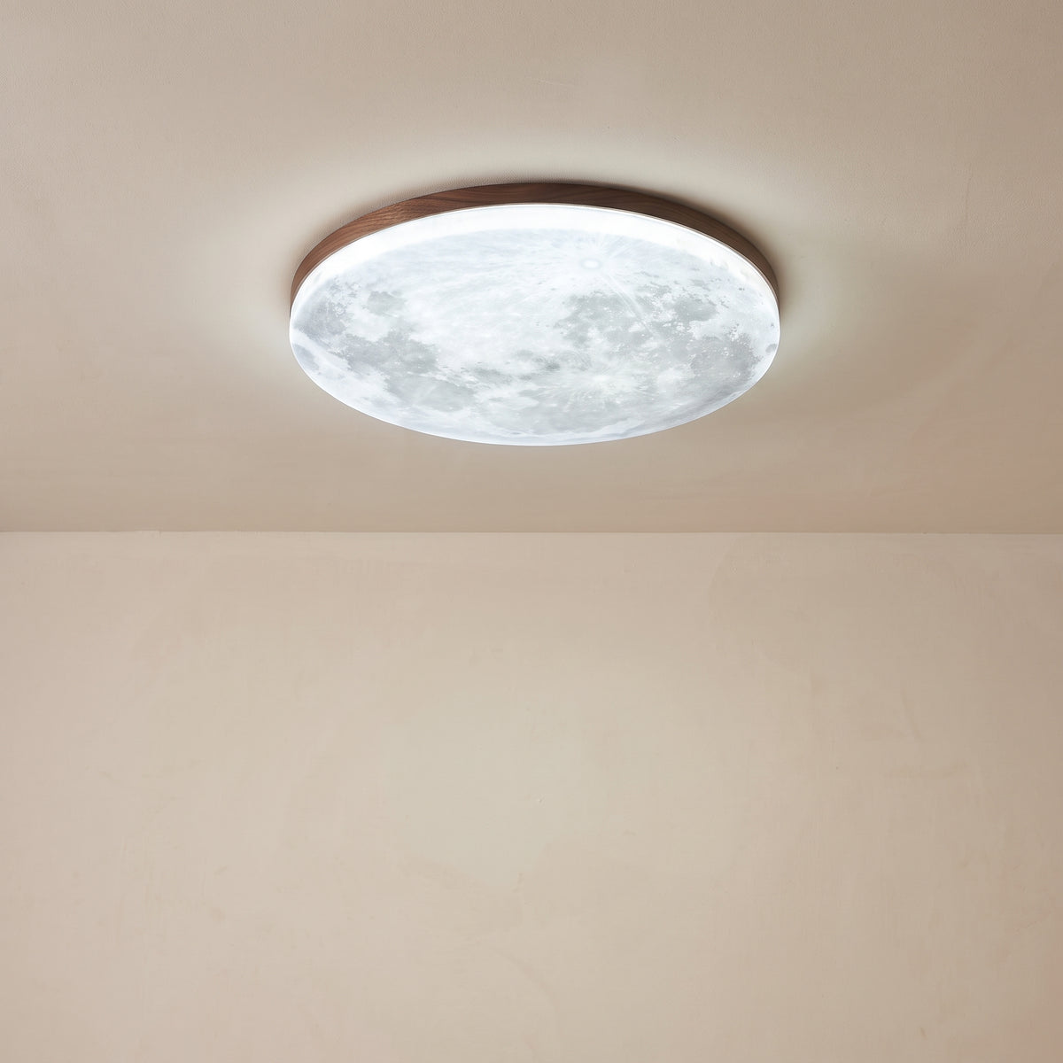 Moon Ceiling Light - view 11
