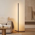 Tricolor Remote Control Floor Lamp