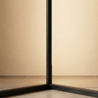 Tricolor Remote Control Floor Lamp